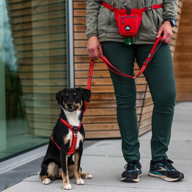 Gros plan d'une main tenant la poignée en néoprène rembourrée de la laisse Urban Freestyle de DOG Co
