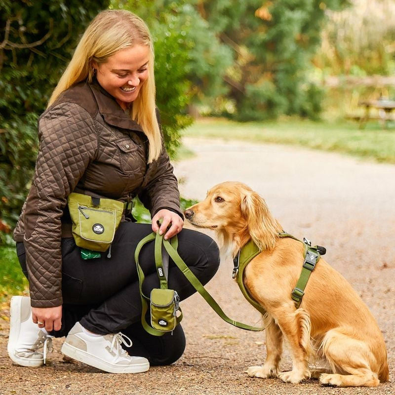 Promenade de chien avec la laisse Urban Trail DOG COPENHAGEN dans un parc urbain