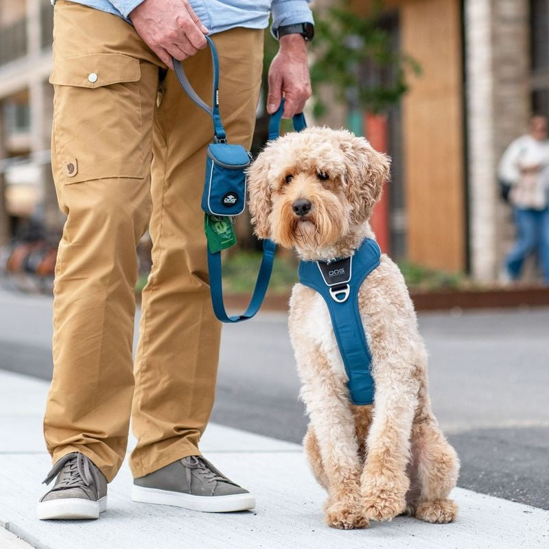 Main tenant la laisse Urban Trail avec le sac visible en milieu urbain