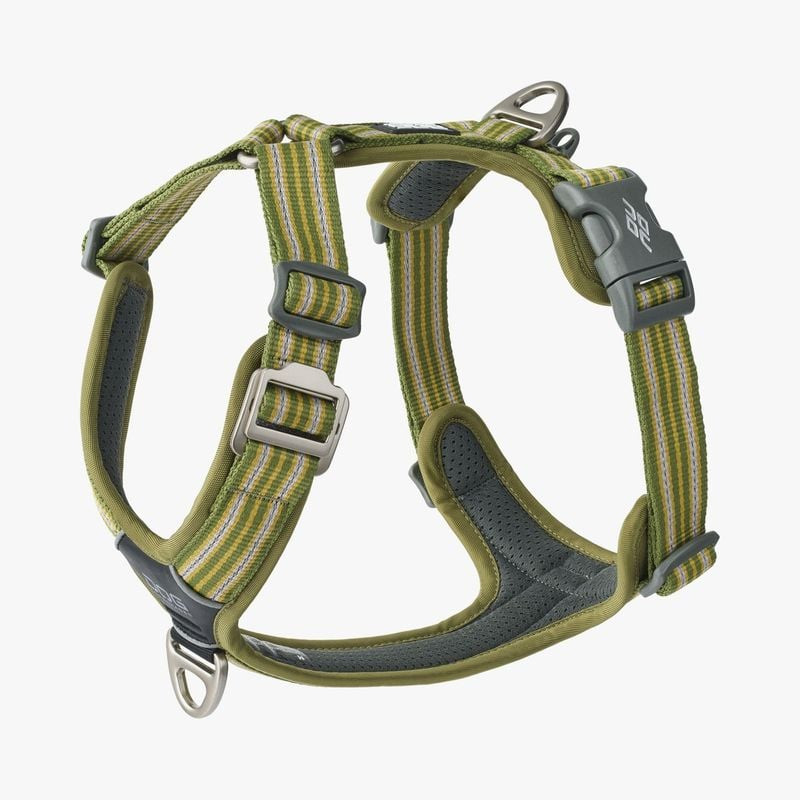 Vue de face du harnais pour chien DOG Copenhagen Comfort Walk Air 3.0 sur fond blanc.