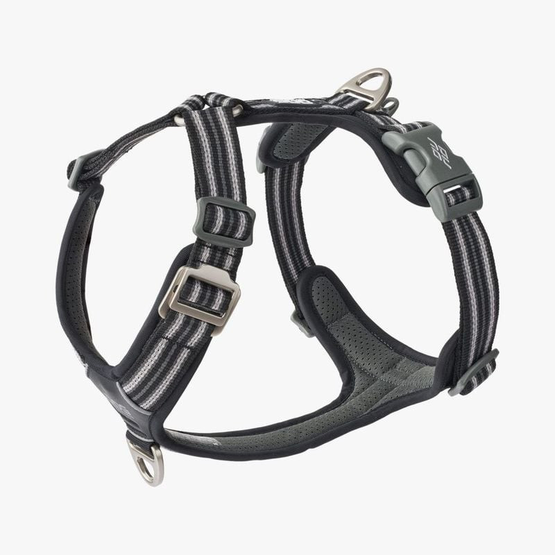 Harnais DOG Copenhagen Comfort Walk Air 3.0 - vue latérale montrant le réglage 4 points et le mesh r
