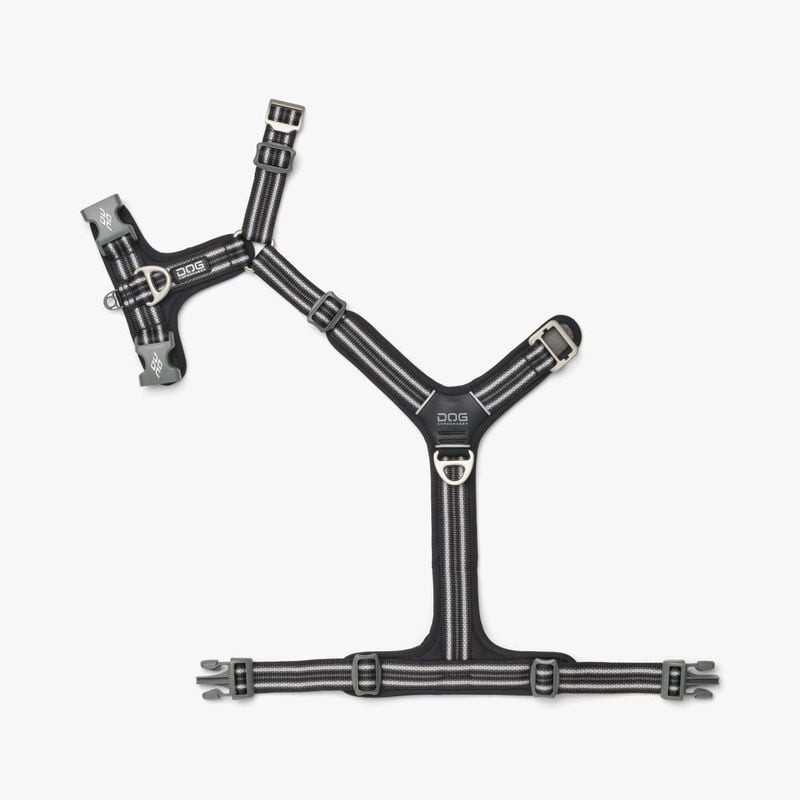 Harnais chien DOG Copenhagen Comfort Walk Air 3.0 - gros plan sur la sangle réglable et la doublure 
