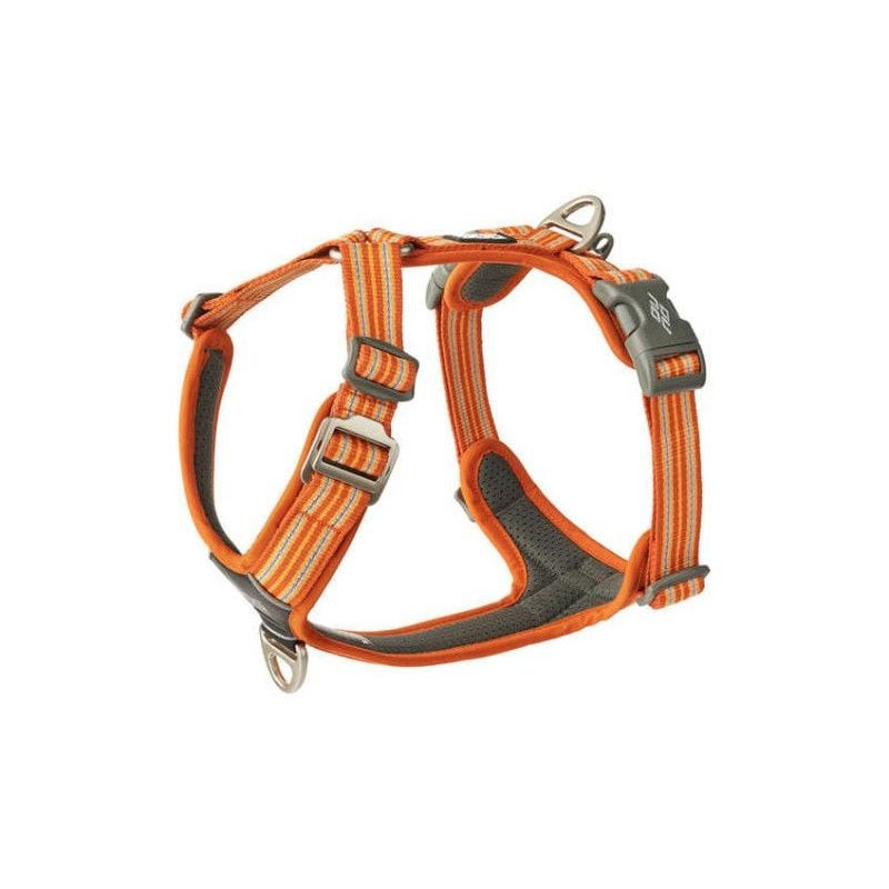 Harnais DOG Copenhagen Comfort Walk Air – vue arrière avec anneau dorsal et sangles ajustables.