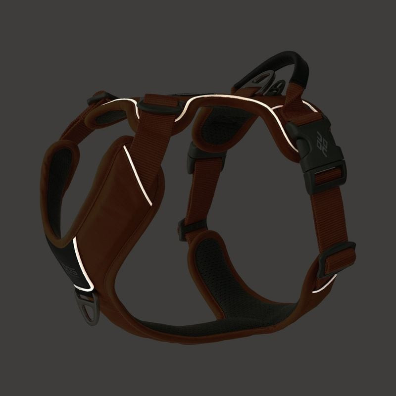 Gros plan du harnais DOG Copenhagen Comfort Walk Pro avec garniture réfléchissante 3M et anneau thor