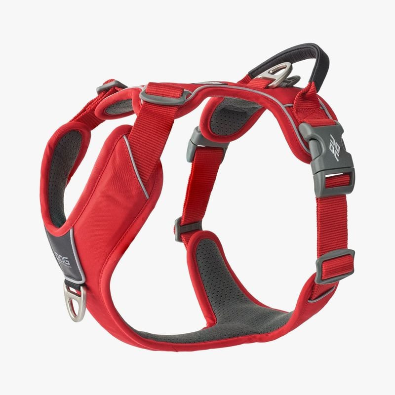 Packshot du harnais 1922186 Dog Copenhagen Comfort Walk Pro, vue de face avec poitrine rembourrée et