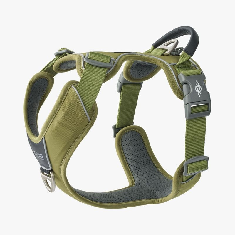 Harnais DOG Copenhagen Comfort Walk Pro noir sur fond blanc, vue avant montrant la poitrine rembourr