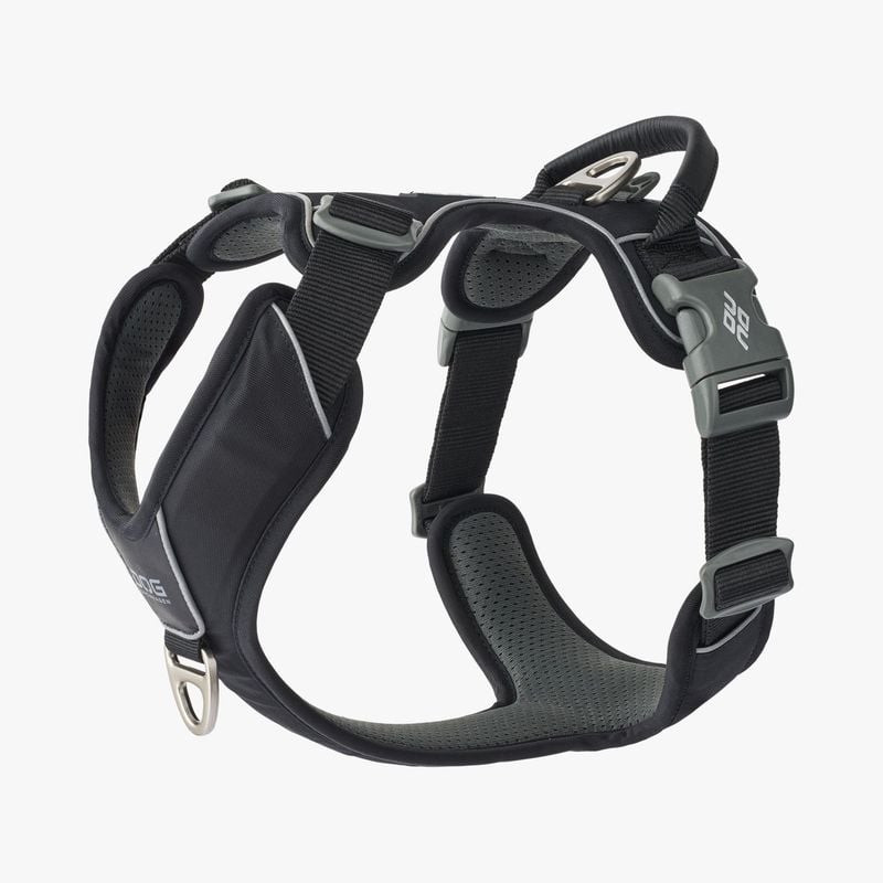 Vue arrière du harnais DOG COPENHAGEN Comfort Walk Pro avec anneau d'attache pour laisse sur le dos.