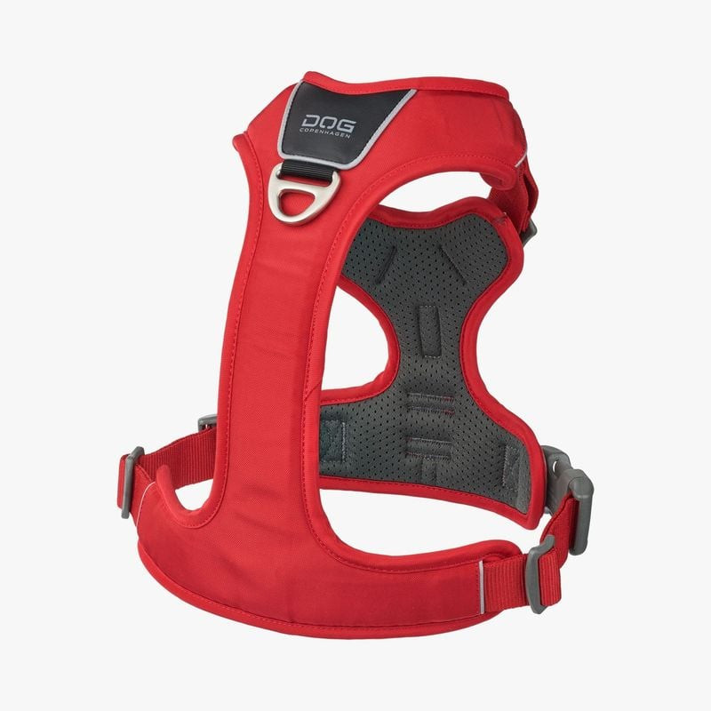 Harnais Dog Copenhagen Comfort Walk Pro vue arrière montrant les points d'attache de la laisse et le