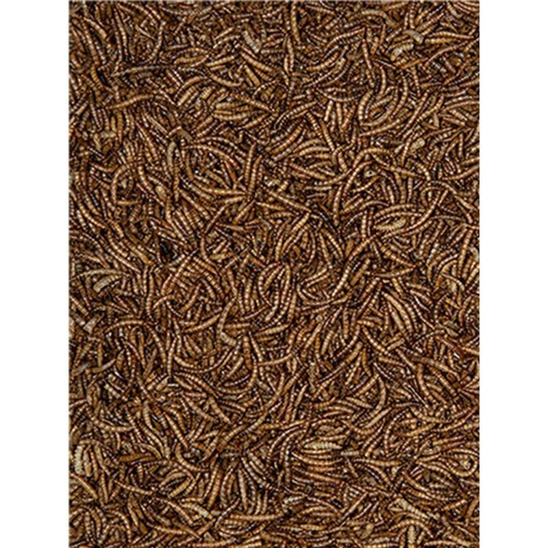 Gros plan sur des vers de farine séchés d'Emma's Garden, montrant leur texture naturelle et leur cou