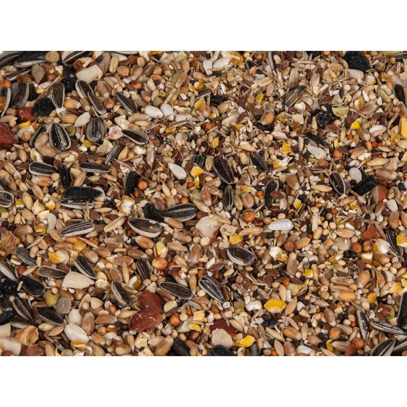 Gros plan sur les graines du mélange 4 saisons Emma's Garden montrant une variété de céréales, grain
