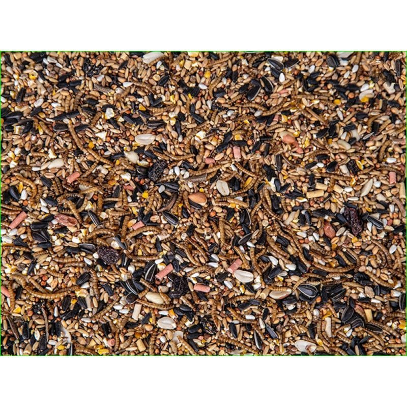 Gros plan du mélange insectivore et fruit mix Emma's Garden avec vers de farine, raisins, baies et g