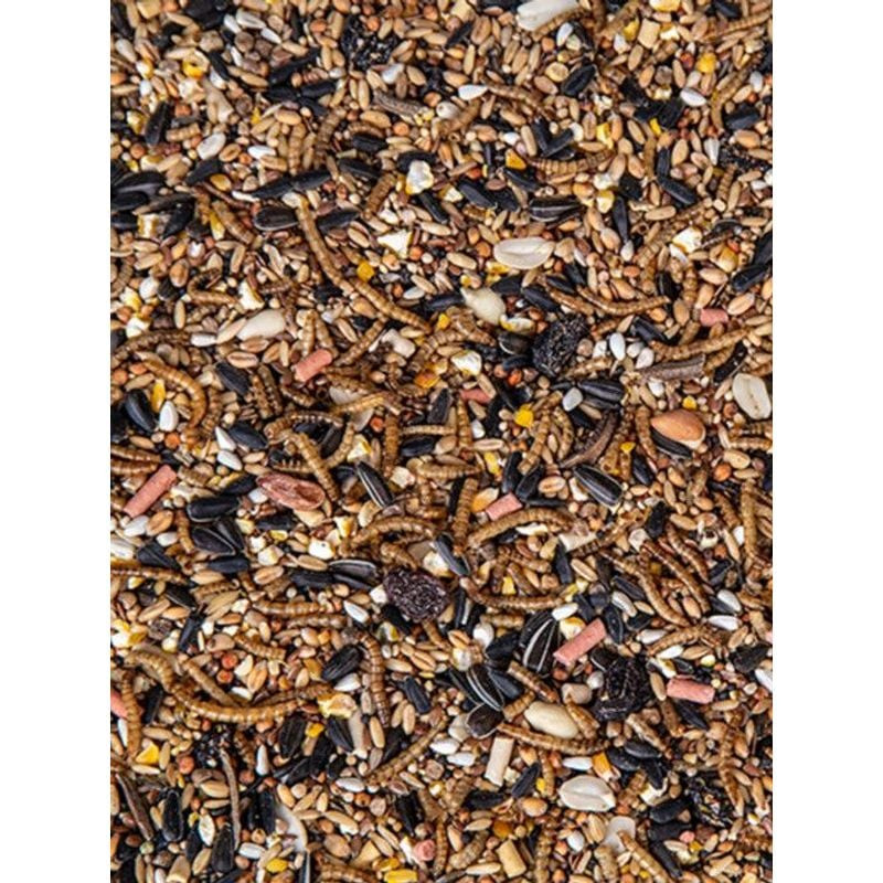 Gros plan du mélange insectes et fruits Emma montrant des graines, des insectes séchés et des morcea