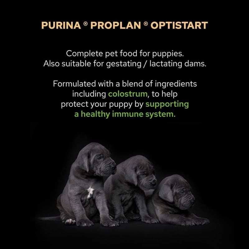 Plan large d'un sac de nourriture pour chien Purina Pro Plan 1967370 à côté d'un bol avec un chiot d