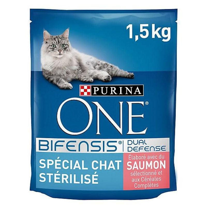Vue latérale du sachet de croquettes PURINA ONE au saumon mettant en valeur le nom du produit et ses
