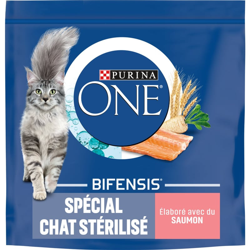 Détail de la liste d'ingrédients sur le sac de croquettes PURINA ONE montrant le saumon comme premie