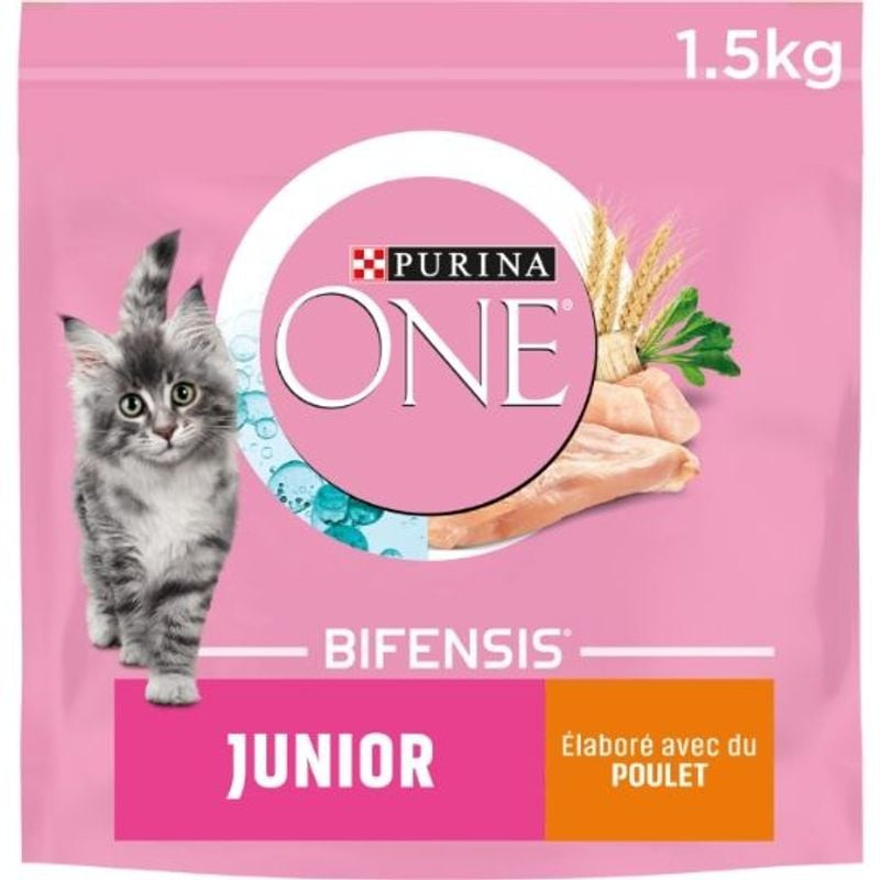 Vue de face du sac de croquettes Purina ONE Junior mettant en valeur les bienfaits nutritionnels.