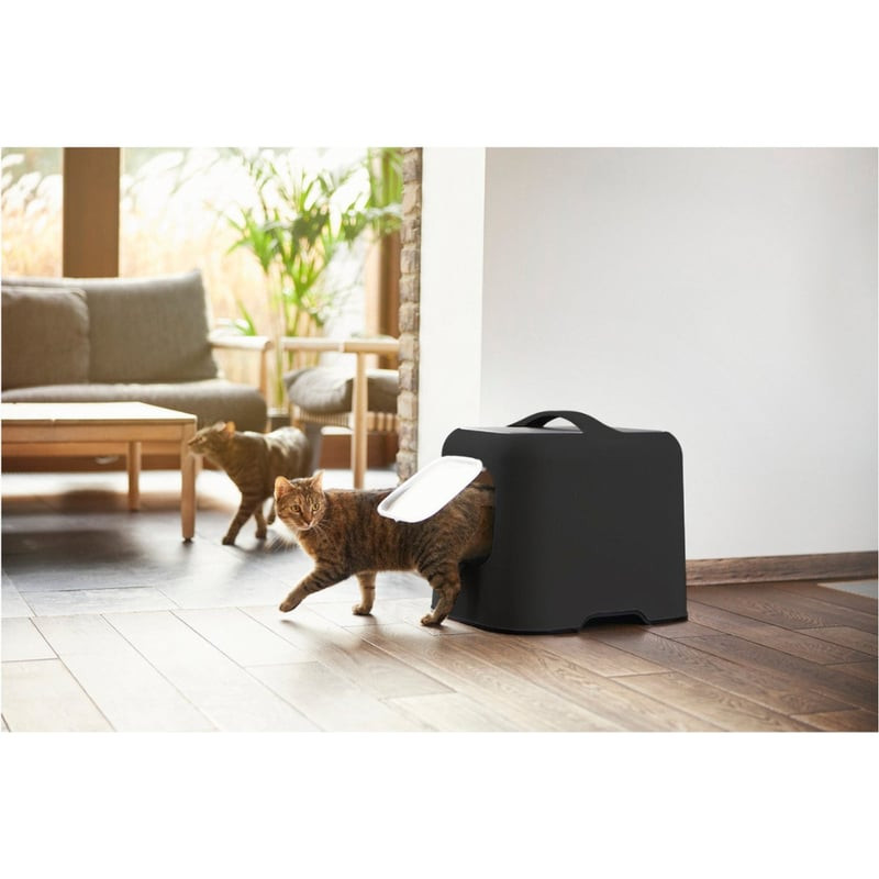 Bac à litière Rotho My Pet Biala placé dans un salon moderne, s'harmonisant avec la décoration.