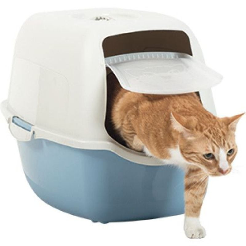 Chat gris entrant dans la litière fermée Rotho MyPet Bailey par une porte battante, avec le bac prof