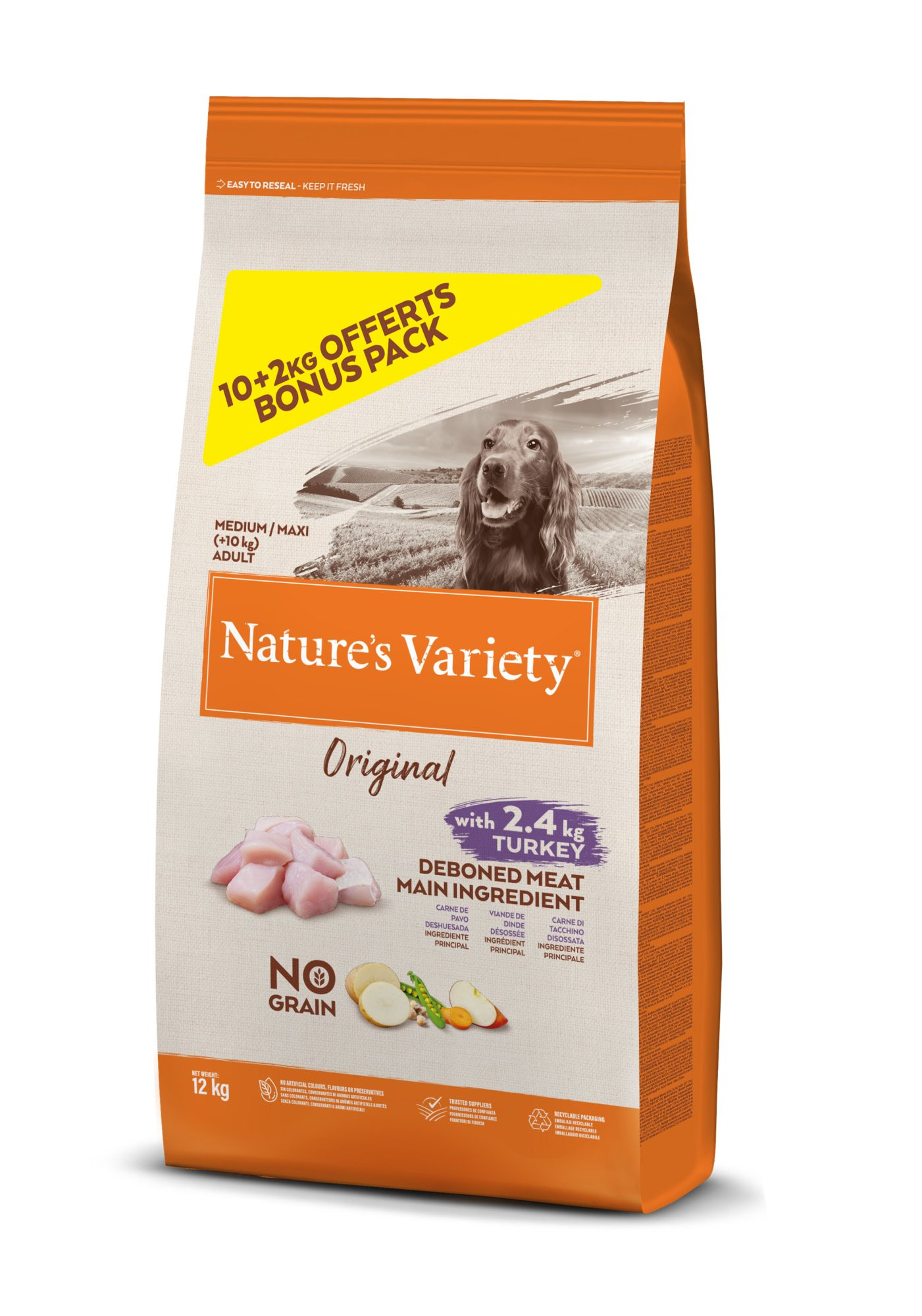 Front view of Nature's Variety 1116306 adult dog food bag, grain-free turkey recipe.