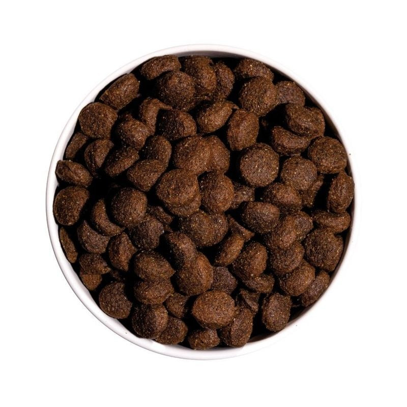 Gros plan sur les croquettes Ownat Classic Energy, montrant leur texture et leur couleur, avec les i