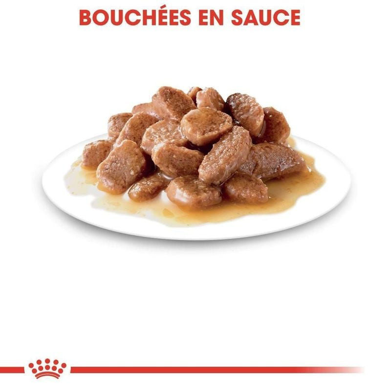 Gros plan sur la pâtée pour chat stérilisé ROYAL CANIN 1143284 montrant des morceaux de viande en sa