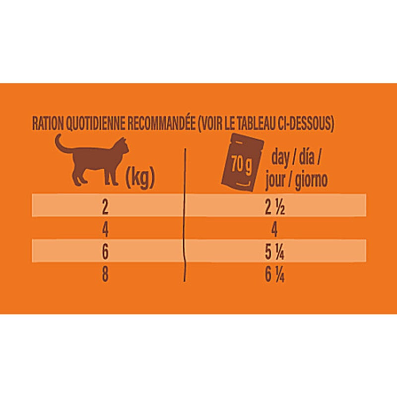 Un bol de pâtée pour chat Nature's Variety Original Dinde, prête à servir à un chat heureux.