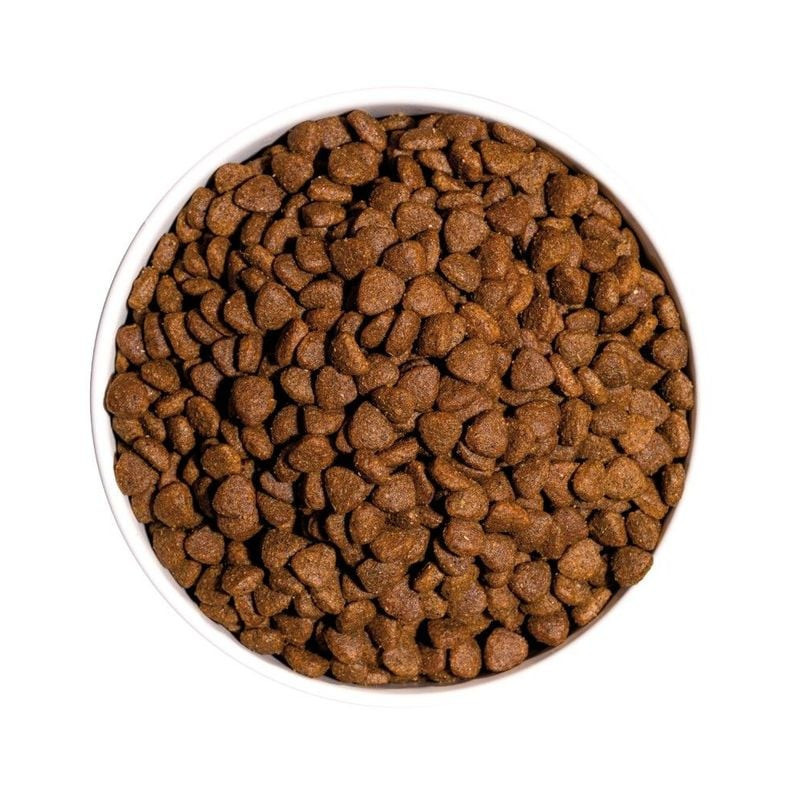 Gros plan sur les croquettes Ownat Classic Kitten, soulignant leur texture et leur petite taille ada