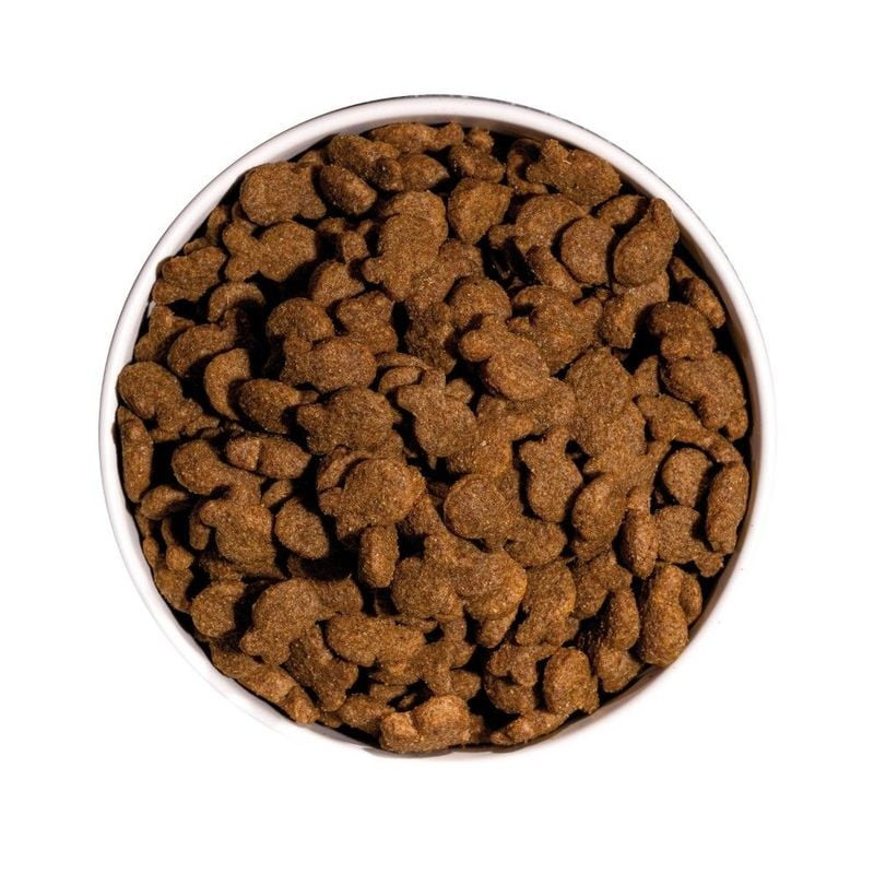 Détail des croquettes Ownat Classic au poisson pour chien, montrant la texture et les ingrédients na