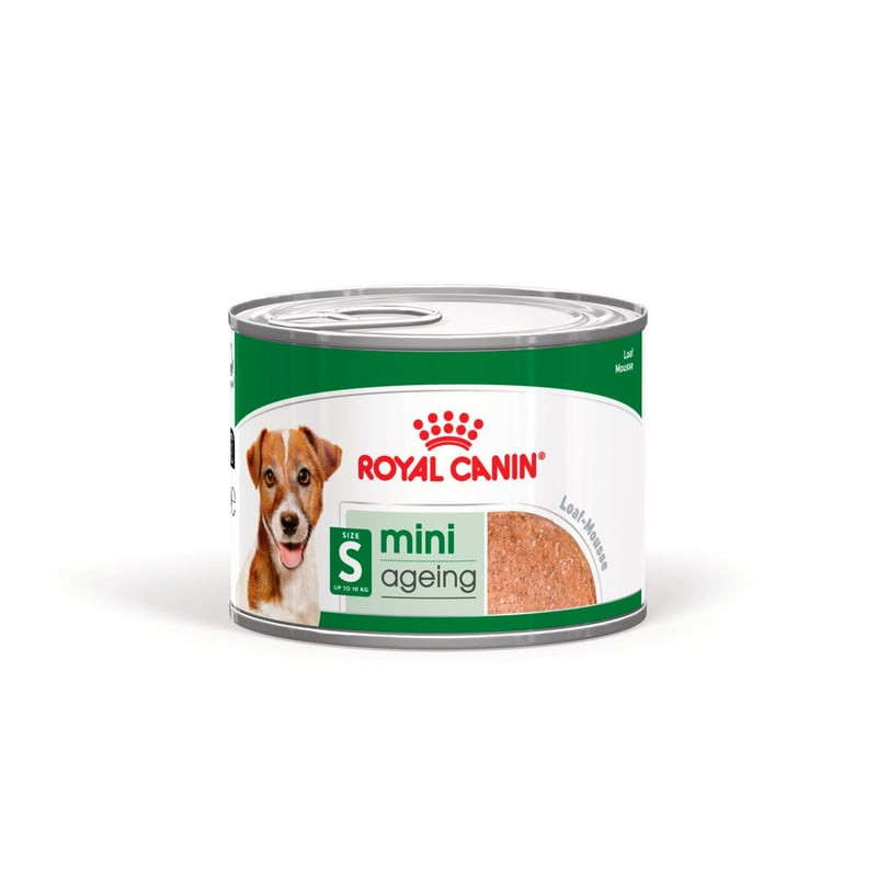 Packshot de Royal Canin Mini Ageing Loaf 195g, aliment humide pour chien senior de petite race.