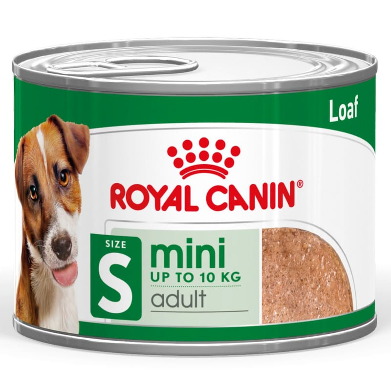 Packshot de la pâtée Royal Canin pour chien adulte de petite race pesant jusqu'à 10 kg.