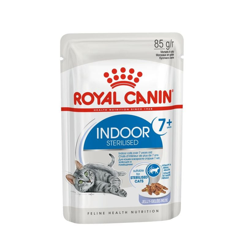 Packshot de la pâtée en gelée Royal Canin 1967595 pour chats seniors d'intérieur stérilisés.