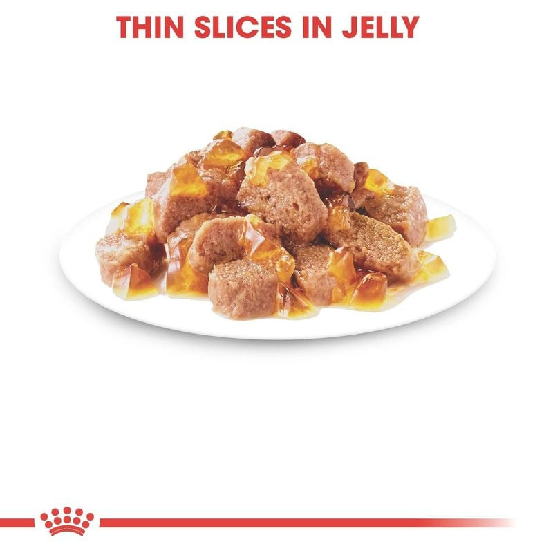 Gros plan de la pâtée Royal Canin stérilisé en gelée avec texture gélatineuse et morceaux de viande