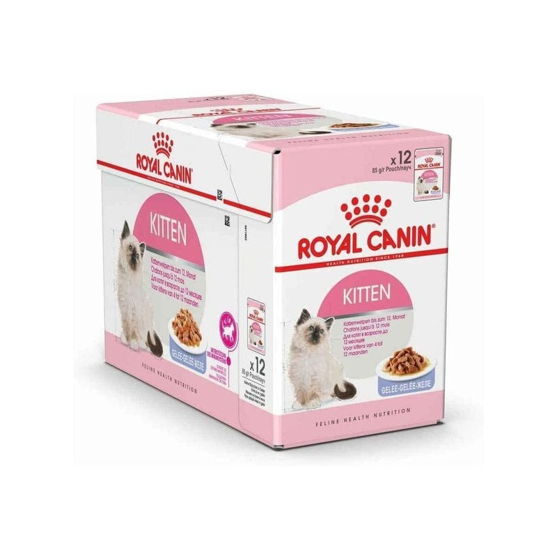 Gros plan de Royal Canin Kitten Instinctive en gelée montrant de fines lanières dans une texture gél