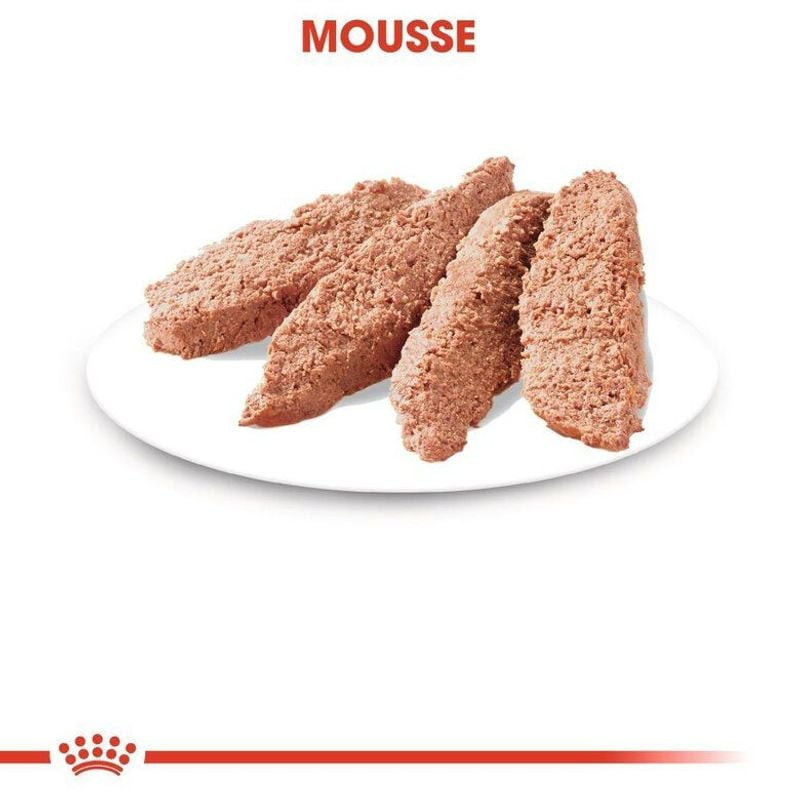 1967585 ROYAL CANIN pâtée mousse pour chat stérilisé adulte - gros plan