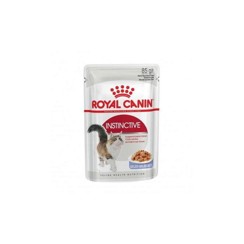 Packshot avant de la pâtée en gelée Royal Canin Instinctive pour chat adulte, montrant l'emballage a