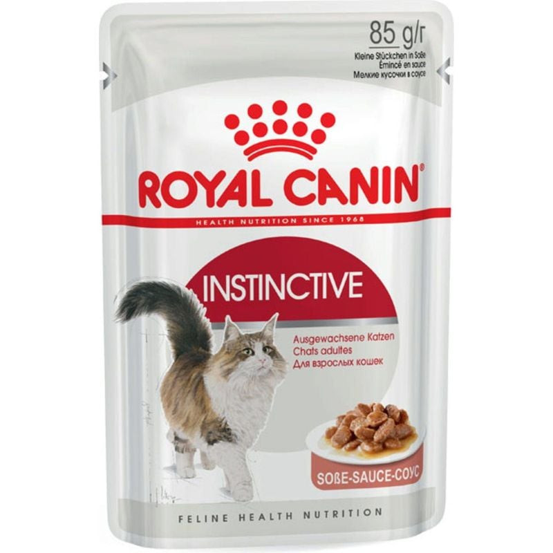 Vue inclinée de la pâtée pour chat Royal Canin Instinctive en sauce, mettant en valeur la texture de