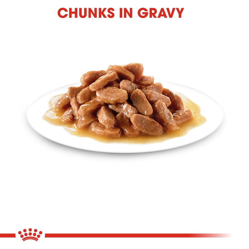 Détail de Royal Canin Kitten Instinctive en sauce avec fines lamelles dans un bol, mettant en valeur