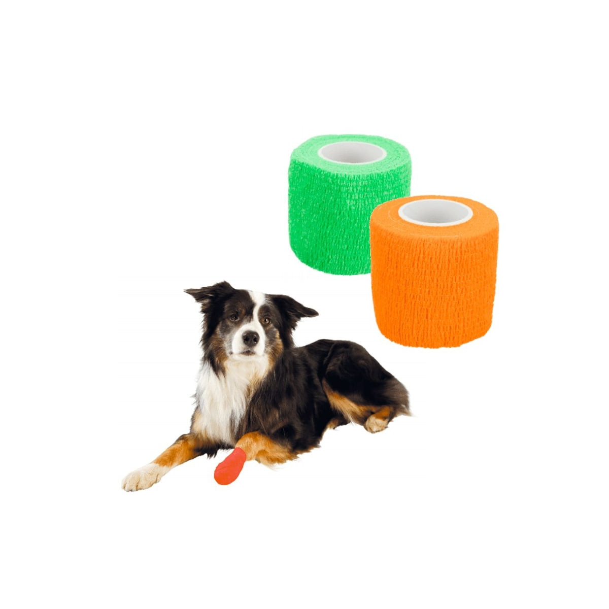Bandage Trixie chien 5cm - Auto-adhésif, amère, protection plaies