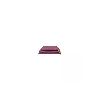 Matelas imperméable Anicool Biga rouge - Confort ortho pour chien (S)