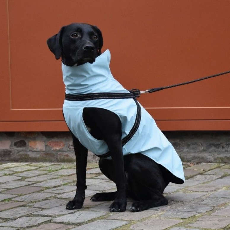 Manteau Croci chien bleu glacier 40cm - Imperméable néoprène confort