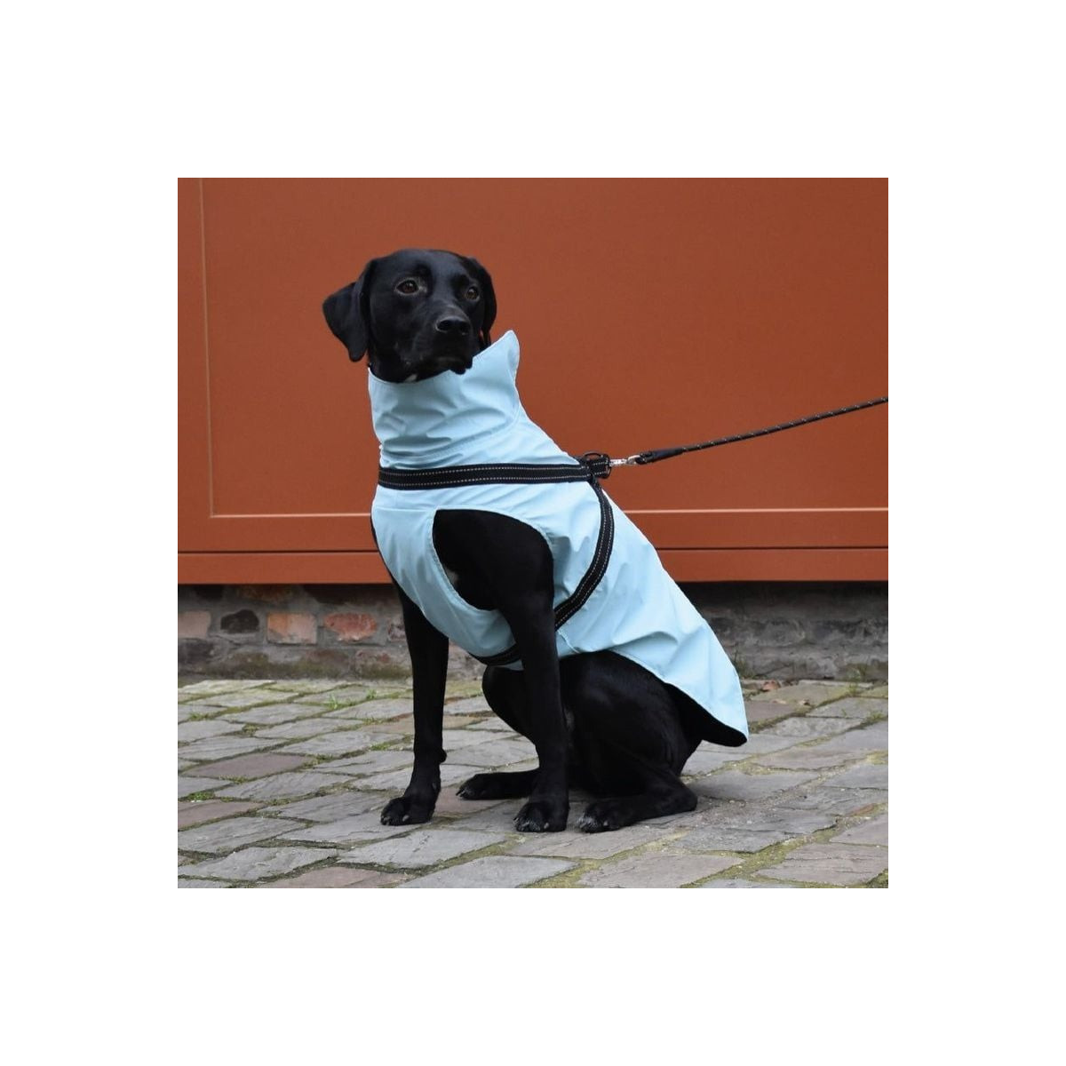 Manteau chien Croci Tom bleu glacier 56XL - Imperméable et sécurisé