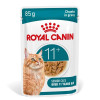 Royal Canin Ageing 11+ : Pâtée chat senior, mobilité et bien-être