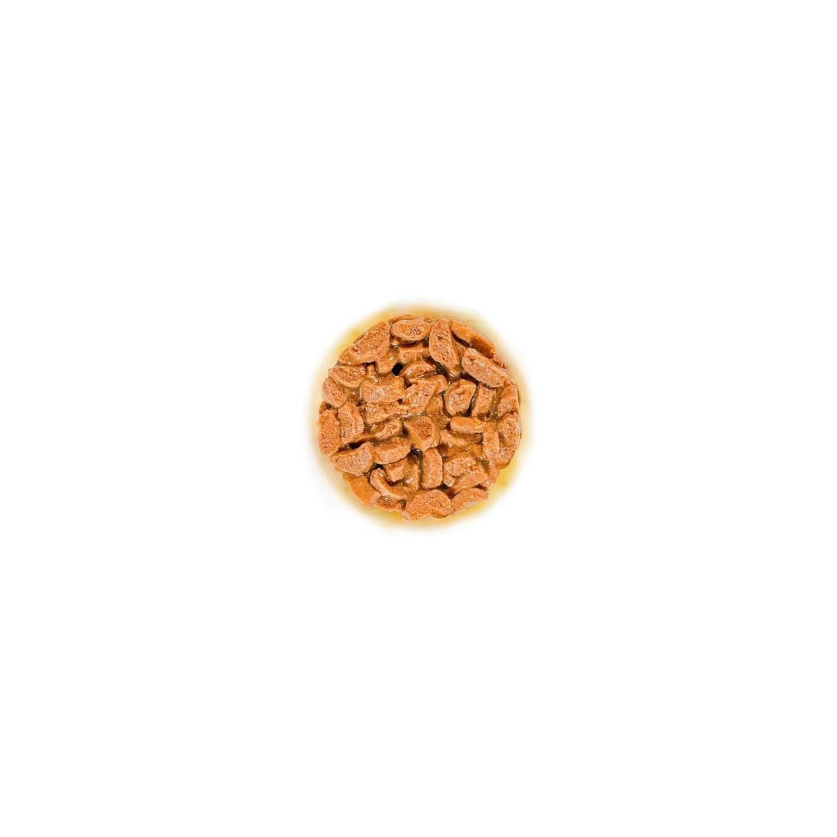 Royal Canin Ageing 11+ : Pâtée chat senior, mobilité et bien-être