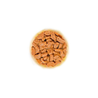 Royal Canin pâtée senior 15+ : bouchées savoureuses pour chat senior