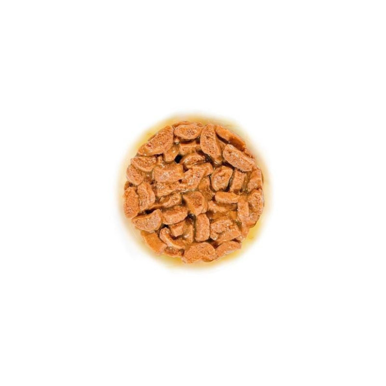 Royal Canin pâtée senior 15+ : bouchées savoureuses pour chat senior