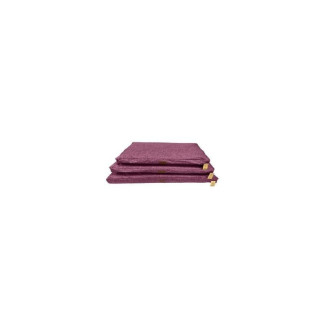 Anicool Biga rouge : matelas imperméable orthopédique chien (M)