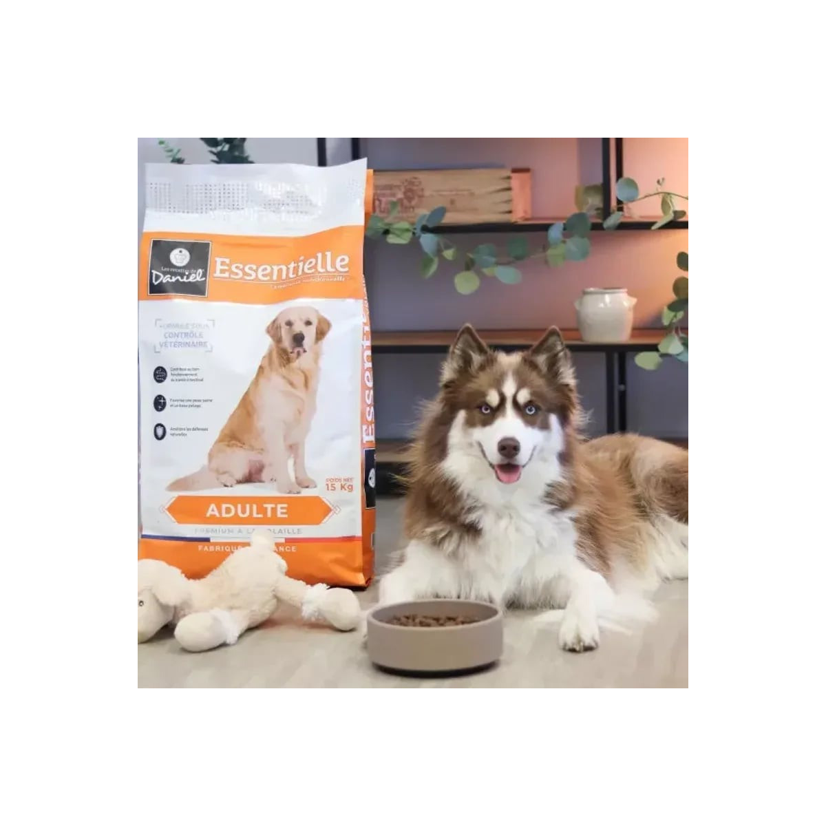 Croquettes volaille chien adulte 14kg - Équilibré & digestes