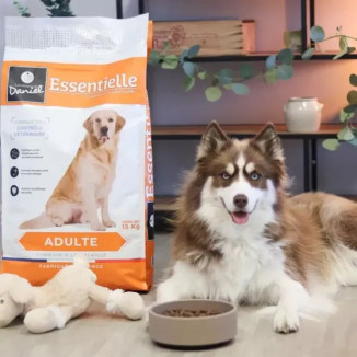 Croquettes volaille chien adulte 14kg - Équilibré & digestes
