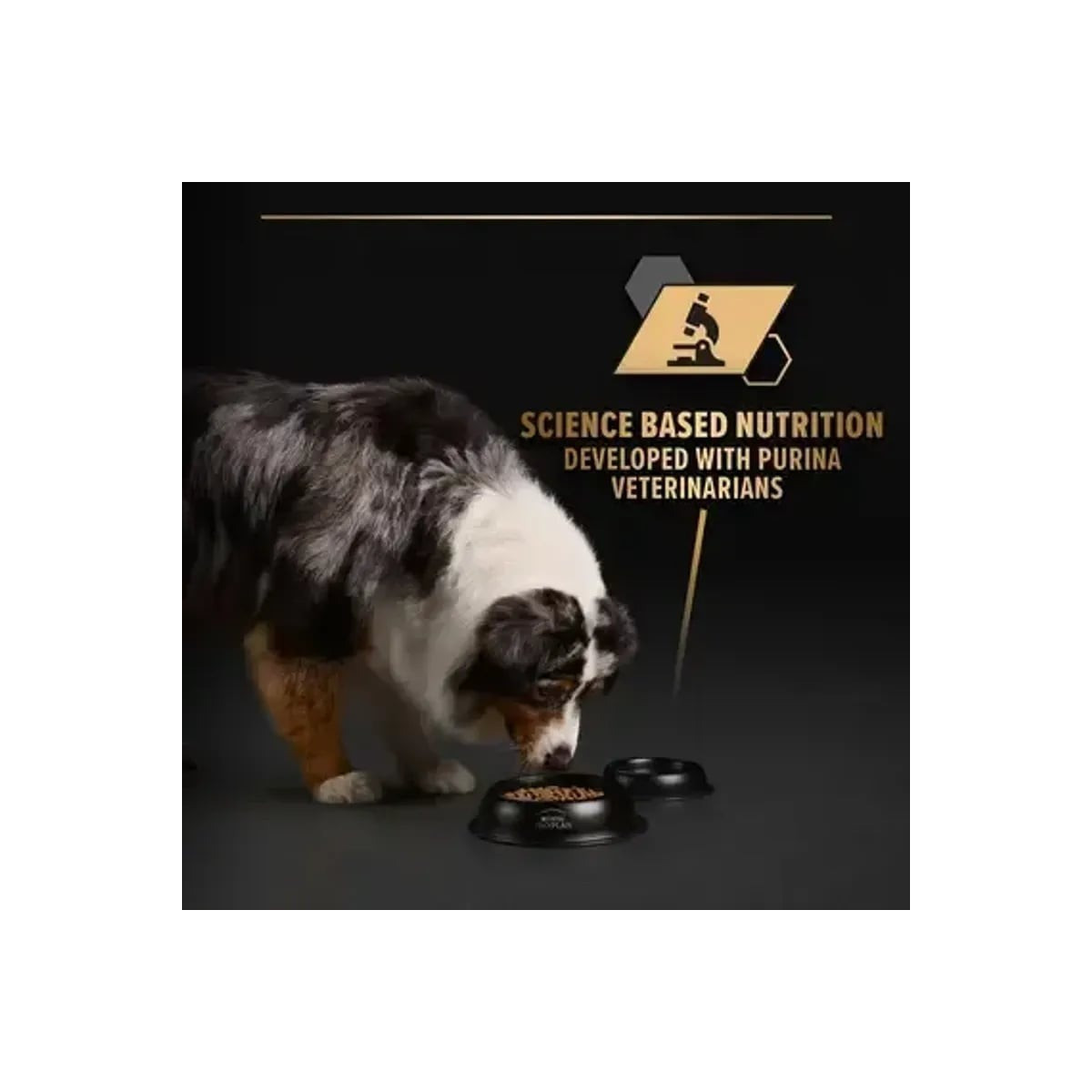 PROPLAN pâtée dinde gelée chien adulte 400g - Nutrition optimale
