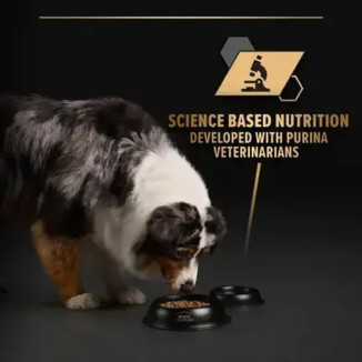 PROPLAN pâtée dinde gelée chien adulte 400g - Nutrition optimale
